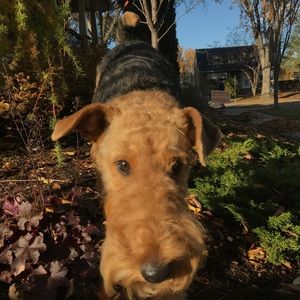 Meet your Posher, Parker